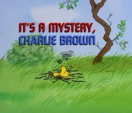 image-https://media.senscritique.com/media/000019636888/0/it_s_a_mystery_charlie_brown.jpg