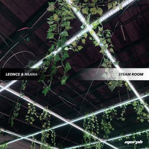 Steam Room (EP)