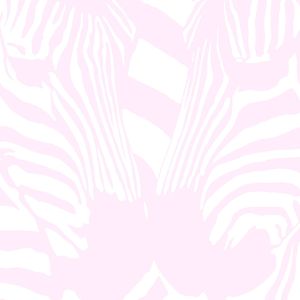 Zebra (Single)