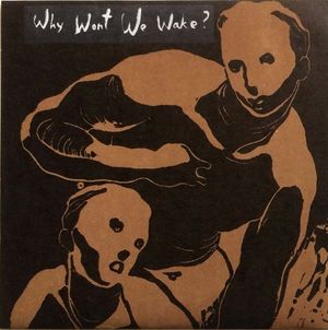 Why Won't We Wake ? (EP)