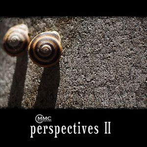 Perspectives 2