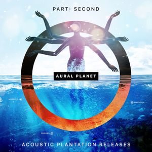 Part: Second and Acoustic Plantation Releases