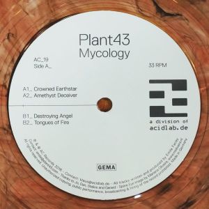 Mycology (EP)