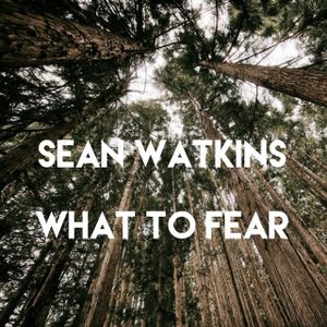 What to Fear (Single)