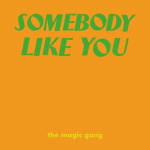 Somebody Like You (Single)