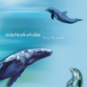 Dolphins & Whales