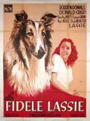 Affiche La Fidèle Lassie