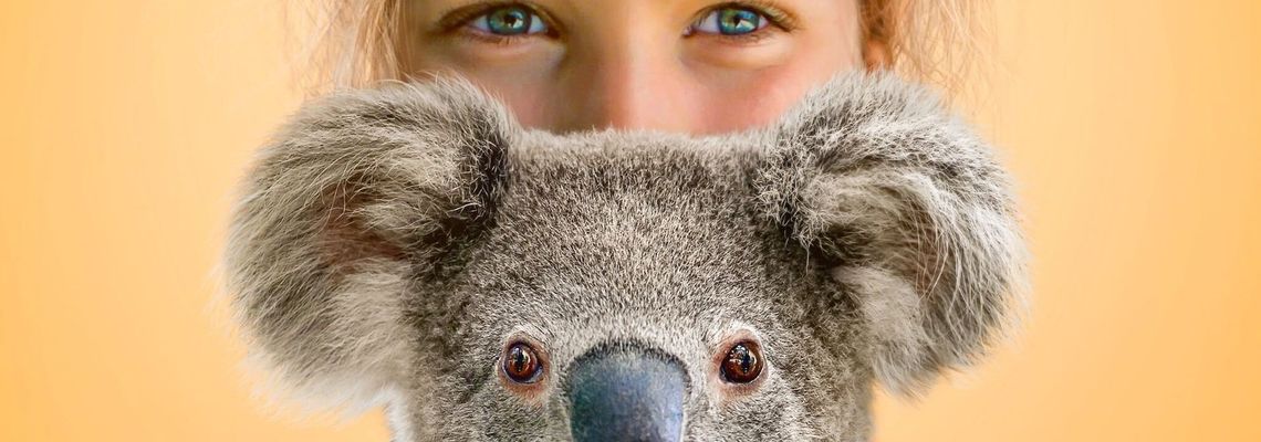 Cover Izzy et les koalas