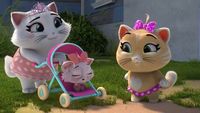 Three Cats and a Kitten