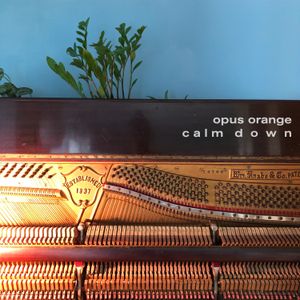 Calm Down (Piano) (Single)