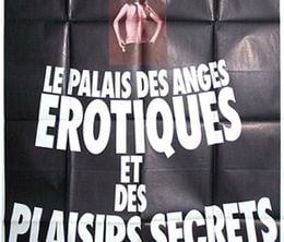 image-https://media.senscritique.com/media/000019665420/0/le_palais_des_anges_erotiques_et_des_plaisirs_secrets.jpg