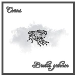 BREBIS GALEUSE (Single)