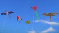 The Kite Contest