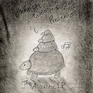 The Acoustic LP