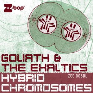 Hybrid Chromosomes