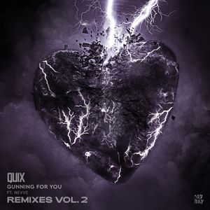 Gunning For You (Remixes, Vol. 2)