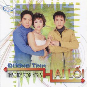 Top Hits 3 - Đường tình hai lối