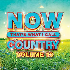 Now That's What I Call Country, Volume 13