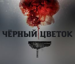 image-https://media.senscritique.com/media/000019676987/0/apres_chernobyl.jpg