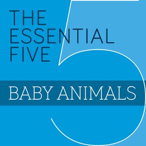 The Essential Five