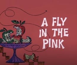 image-https://media.senscritique.com/media/000019678666/0/a_fly_in_the_pink.jpg