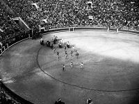 Madrid Bullfight