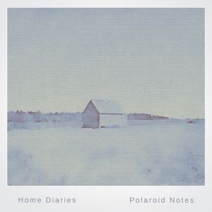 Home Diaries 014