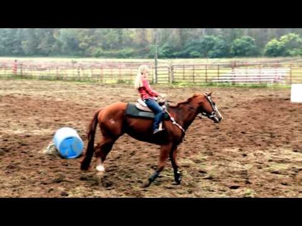 Rodeo Girl