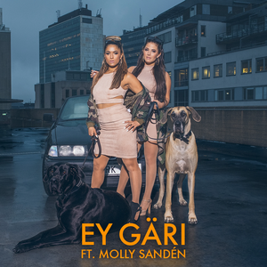 Ey Gäri (Single)