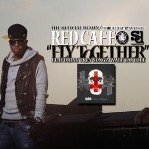 Fly Together (remix)