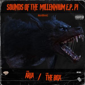 Sounds of the Millennium E.P. P1 (EP)