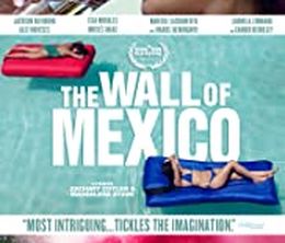 image-https://media.senscritique.com/media/000019683506/0/the_wall_of_mexico.jpg