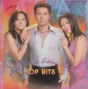 Top Hits 8 - Hai chiếc bóng cô đơn