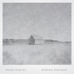 Home Diaries 004 (EP)