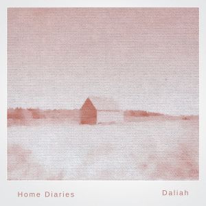 Home Diaries 024