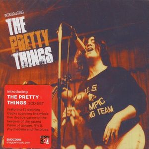 Introducing The Pretty Things