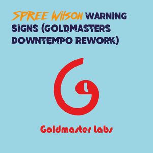 Warning Signs (Goldmasters Downtempo Rework)