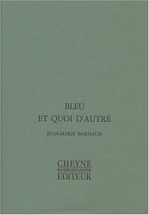Bleu et quoi d'autre