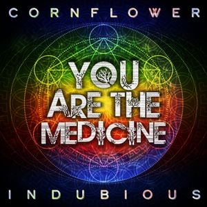 You Are the Medicine (Single)