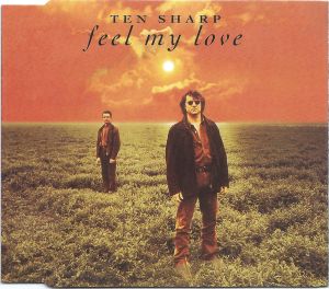 Feel My Love