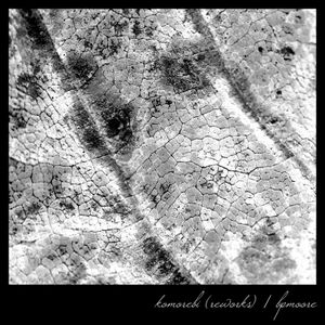 Galvanised (Harald Hauser rework)