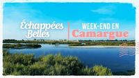 Week-end en Camargue