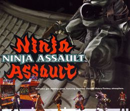 image-https://media.senscritique.com/media/000019692247/0/ninja_assault.jpg