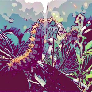 Oruga (Single)