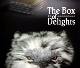 image-https://media.senscritique.com/media/000019693253/0/the_box_of_delights.jpg