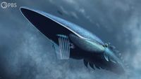How Plankton Created A Bizarre Giant of the Seas