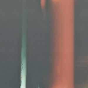 Flamingo Tripper (EP)