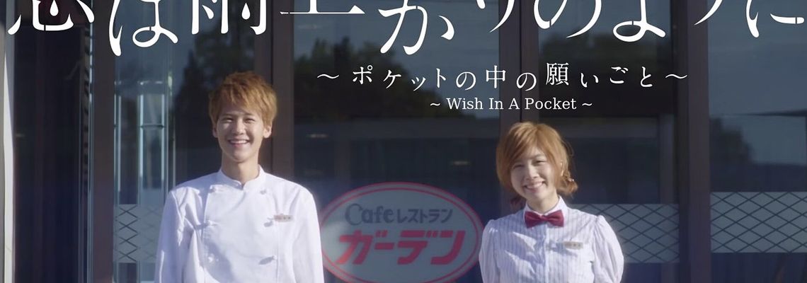 Cover After the Rain: Wish in a Pocket