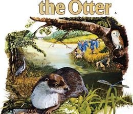 image-https://media.senscritique.com/media/000019694054/0/tarka_the_otter.jpg