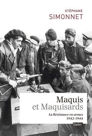Maquis et maquisards : La résistance en armes (1942-1944)